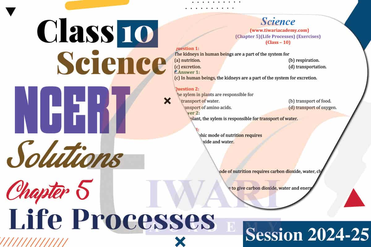 Class 10 Science Chapter 5 Topics