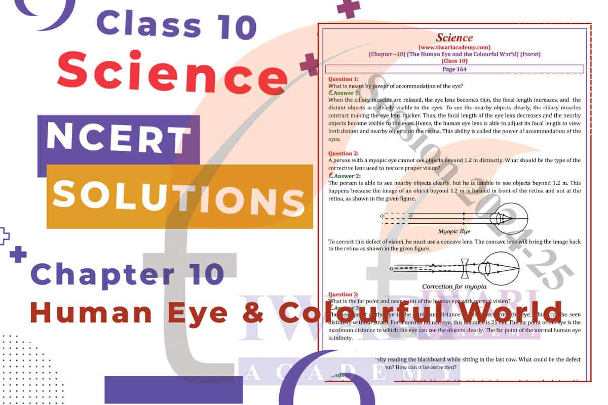 Class 10 Science Chapter 10 Solutions
