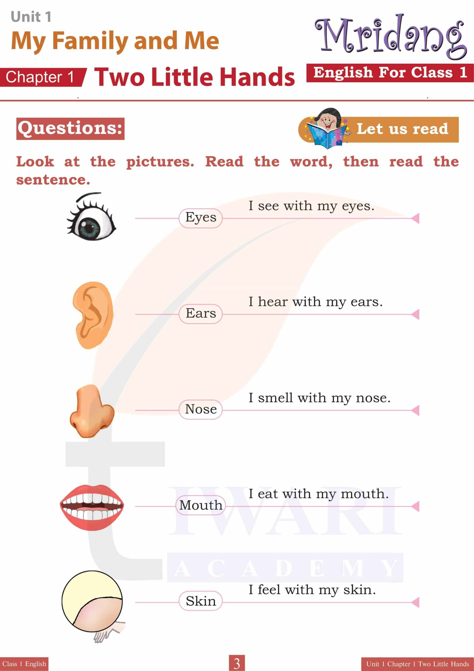 NCERT Solutions for Class 1 English Mridang Chapter 1 Two Little Hands