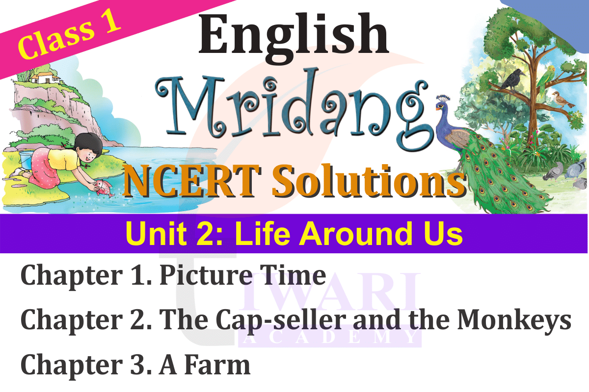 NCERT Solutions for Class 1 English Mridang Chapter 1 Picture Time, Chapter 2 The Cap-seller and the Monkeys and Chapter 3 A Farm of Unit 2 Answers