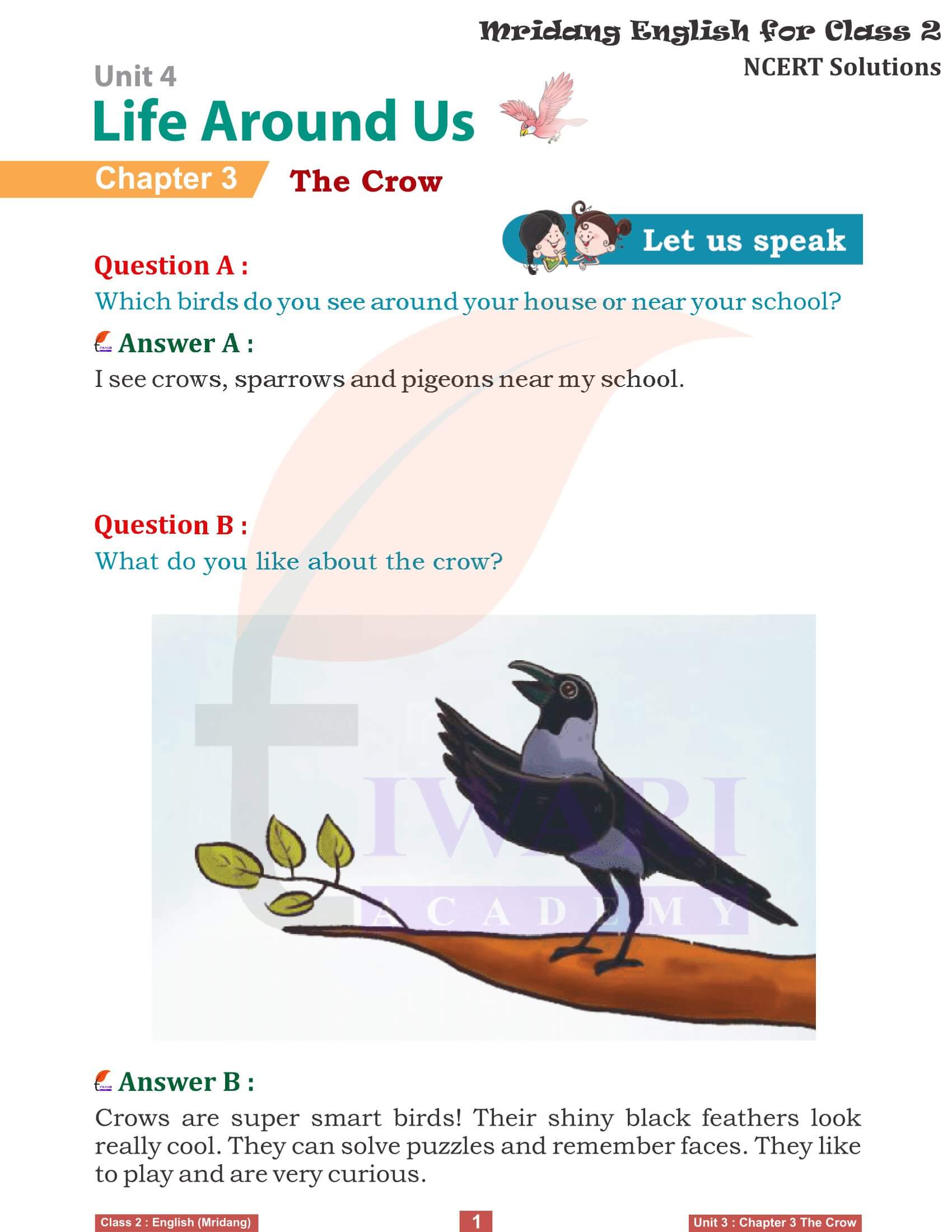 NCERT Solutions for Class 2 English Mridang Unit 4 Life Around Us Chapter 3 The Crow