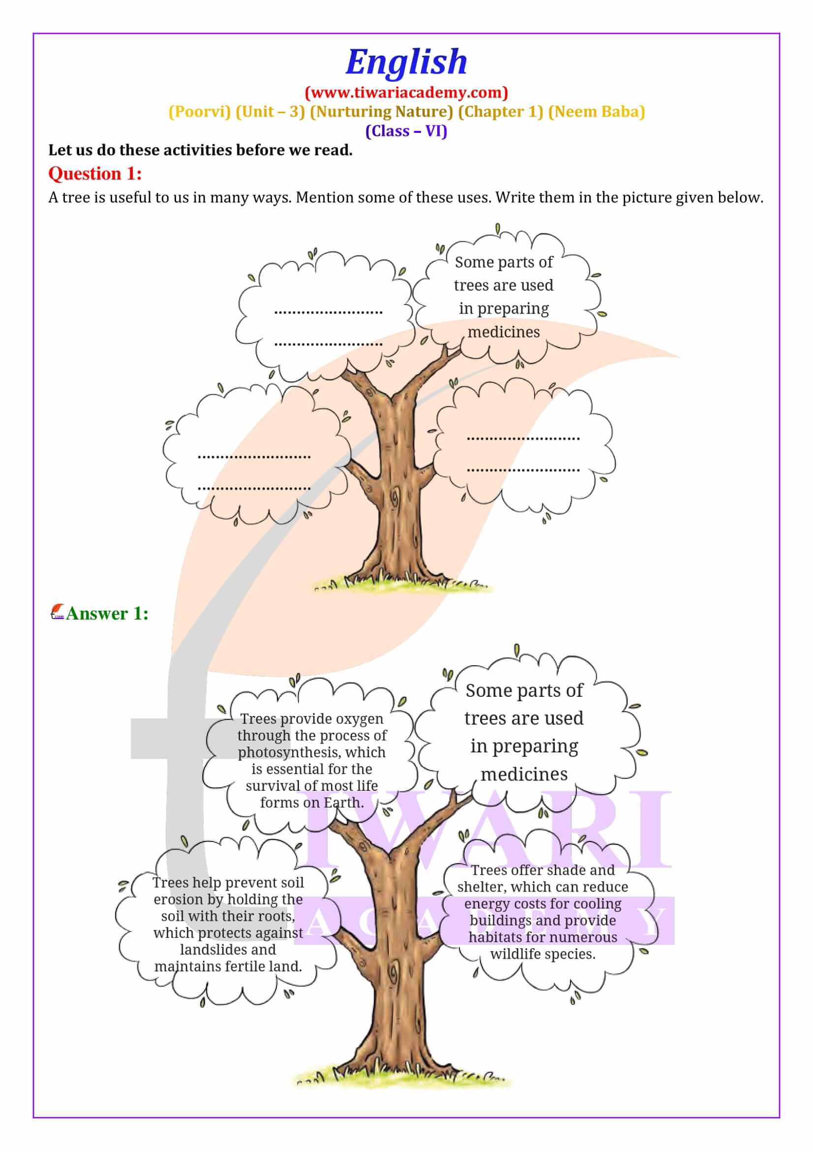 NCERT Solutions for Class 6 English Poorvi Unit 3 Nurturing Nature Chapter 1 Neem Baba