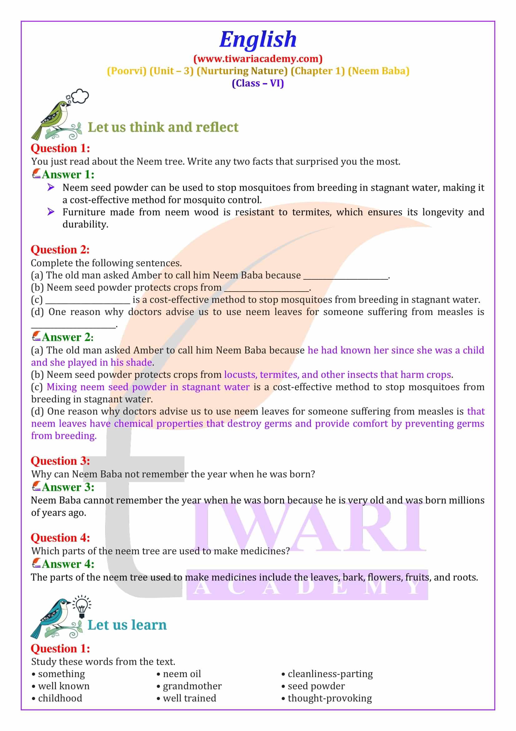 Class 6 English Poorvi Unit 3 Nurturing Nature Chapter 1 Neem Baba Solutions guide