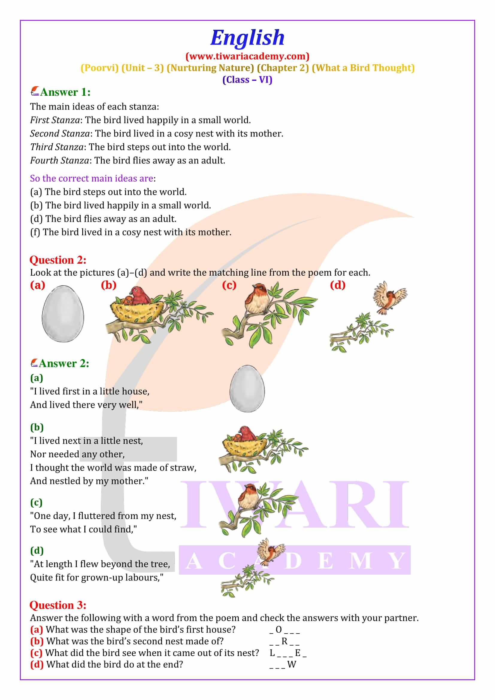 Class 6 English Poorvi Unit 3 Nurturing Nature Chapter 2 What a Bird Thought Question Answers