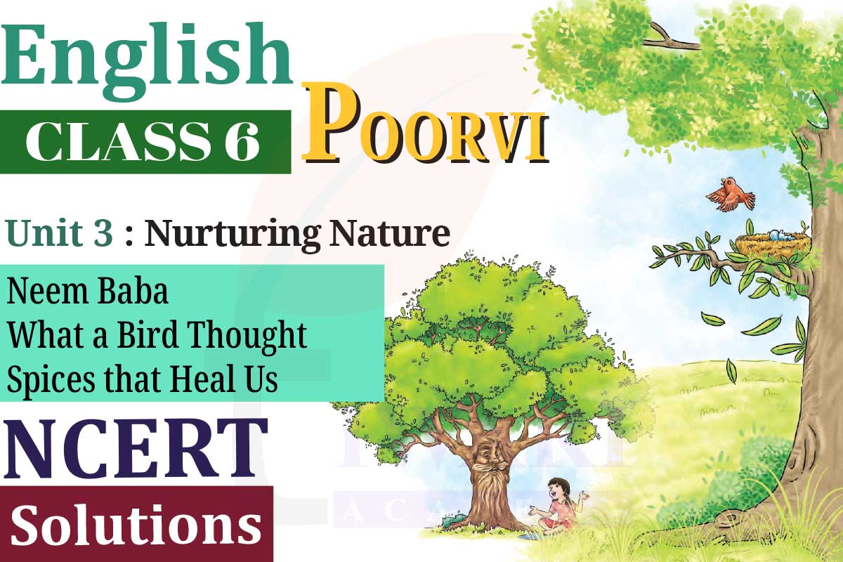 NCERT Solutions for Class 6 English Poorvi Unit 3