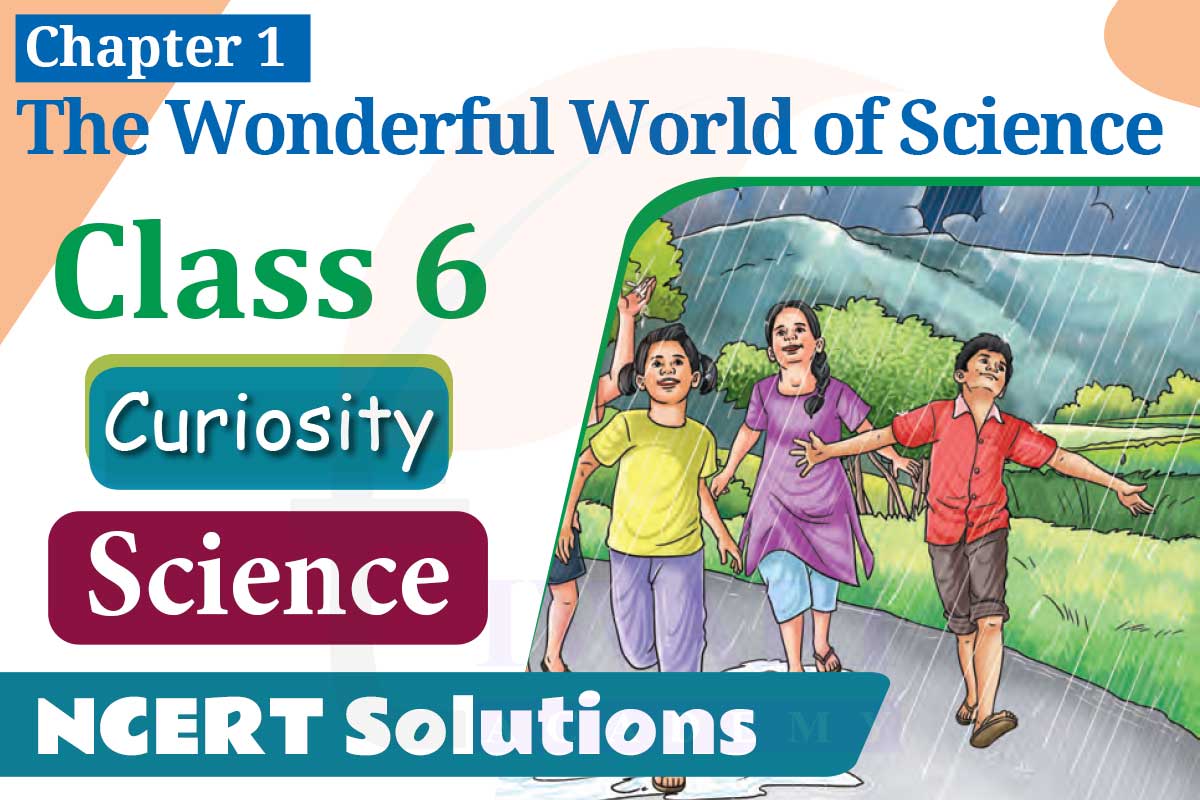 NCERT Solutions for Class 6 Science Curiosity Chapter 1 The Wonderful World of Science