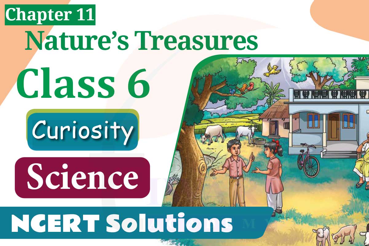 NCERT Solutions for Class 6 Science Curiosity Chapter 11 Nature’s Treasures