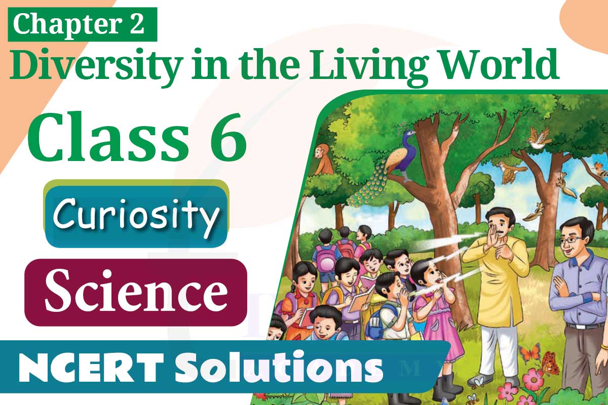 NCERT Solutions for Class 6 Science Curiosity Chapter 2 Diversity in the Living World