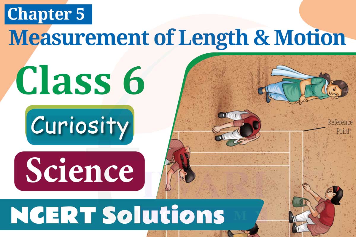 NCERT Solutions for Class 6 Science Curiosity Chapter 5