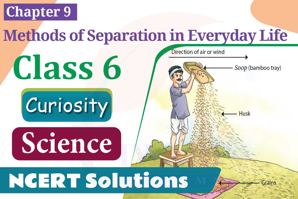 NCERT Solutions for Class 6 Science Curiosity Chapter 9 Methods of Separation in Everyday Life