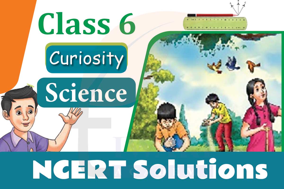 Class 6 Science Curiosity Solutions