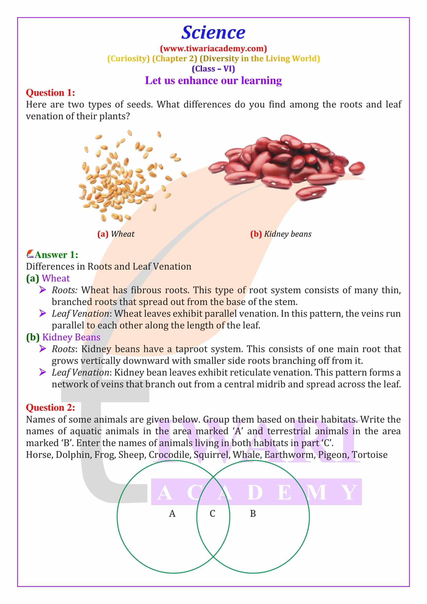 NCERT Solutions for Class 6 Science Curiosity Chapter 2 Answers