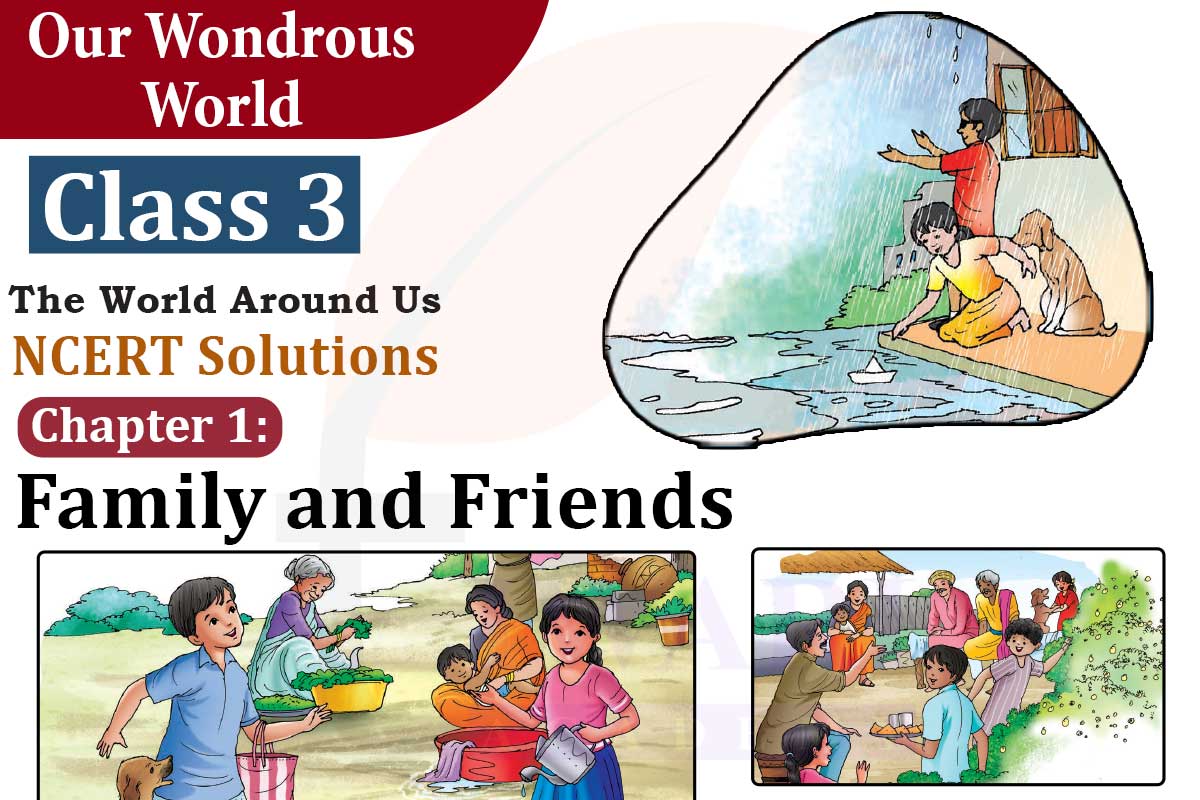 NCERT Solutions for Class 3 EVS Chapter 1 Family and Friends