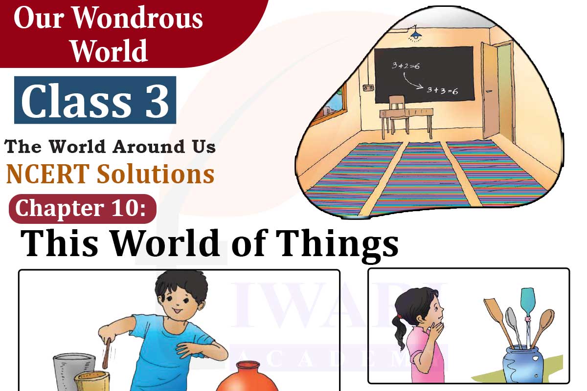 Class 3 EVS Chapter 10 This World of Things