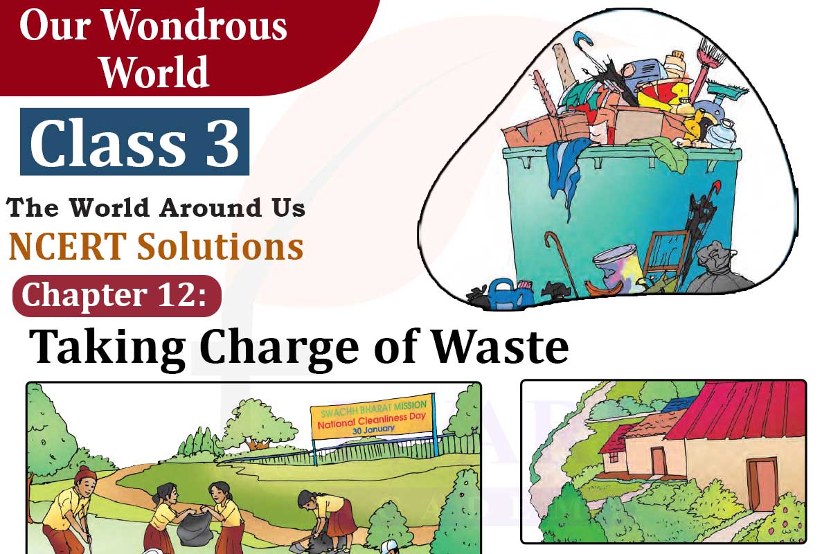 Class 3 EVS Chapter 12 Taking Charge of Waste