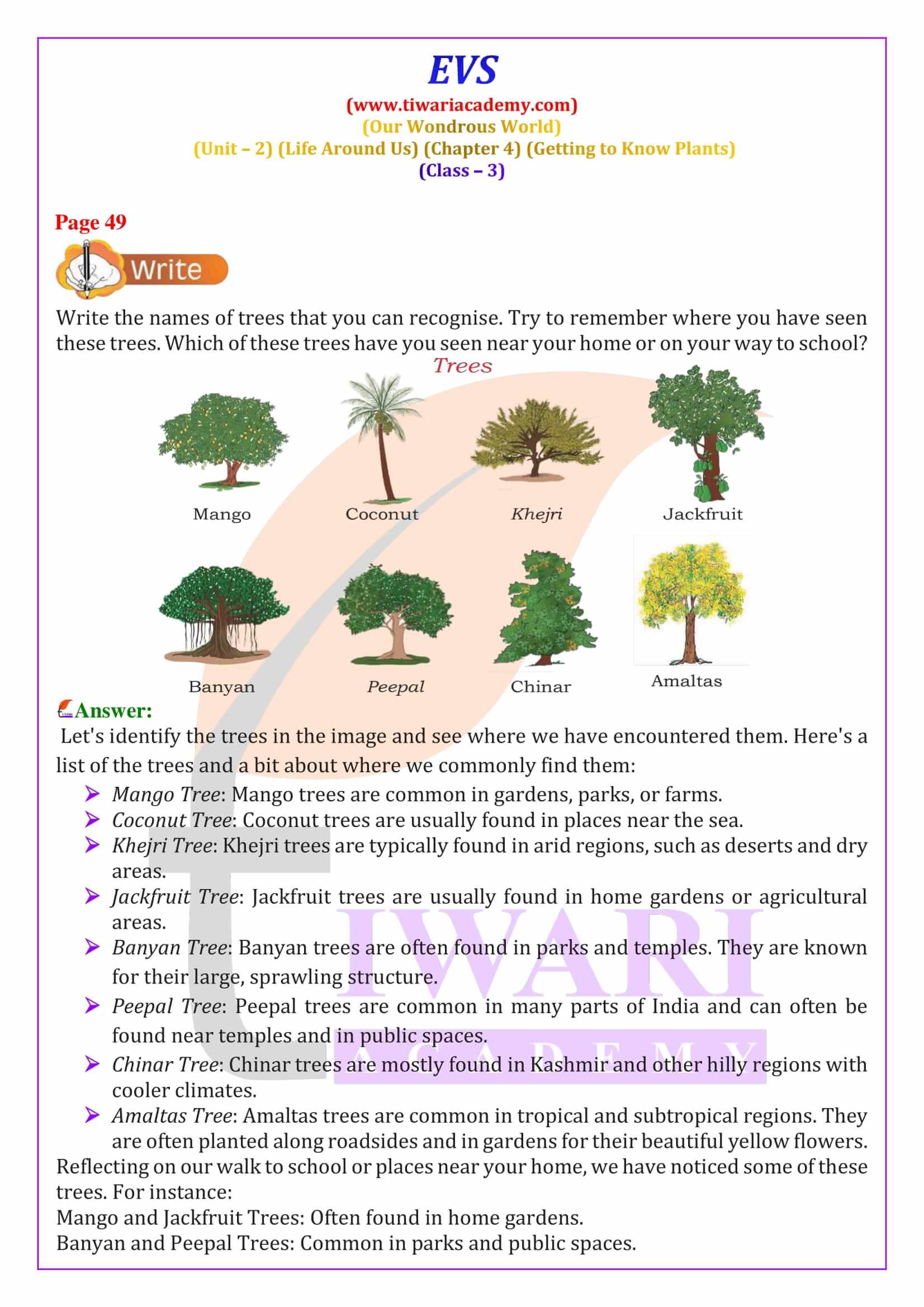 NCERT Solutions for Class 3 EVS Chapter 4