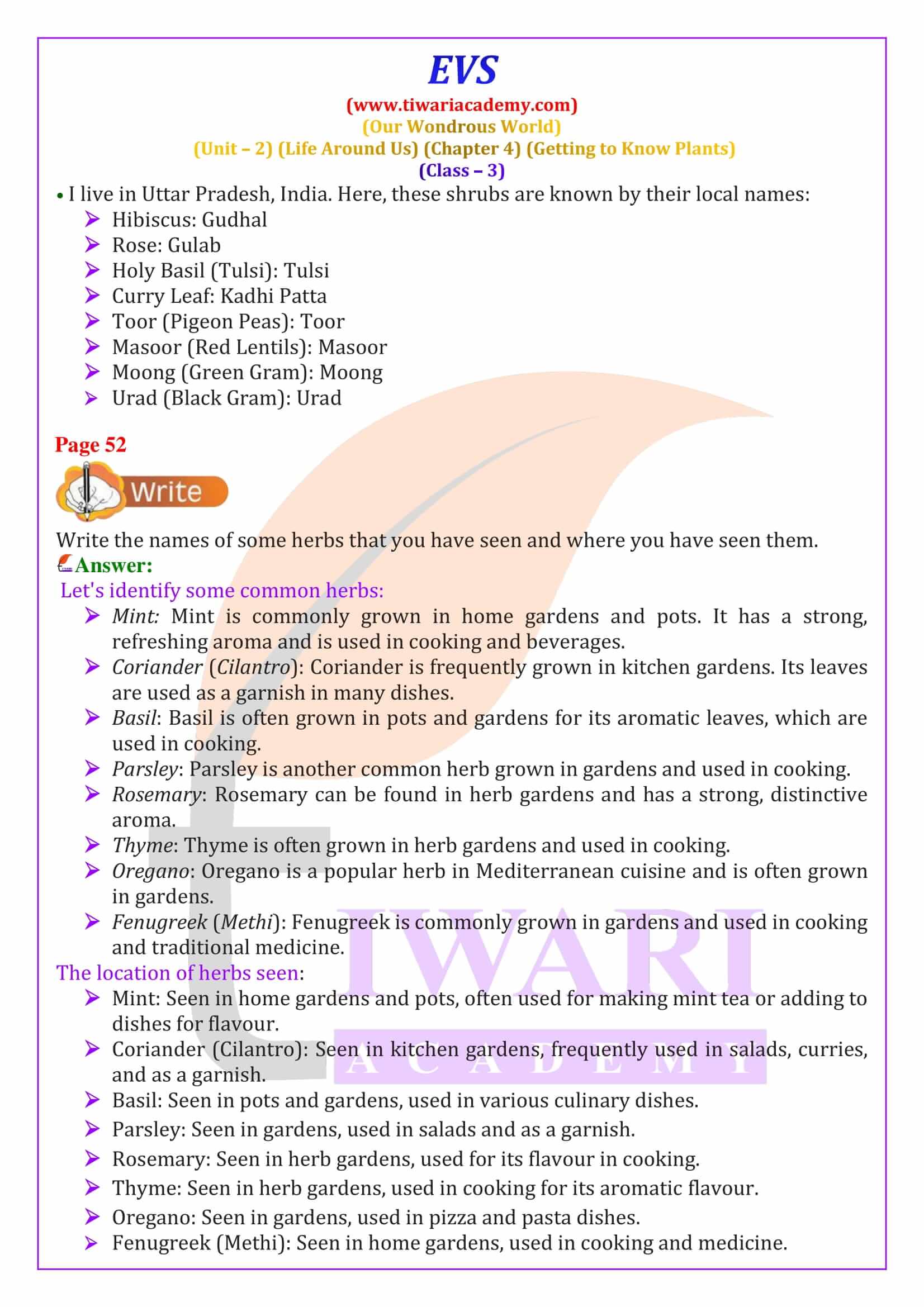 NCERT Solutions for Class 3 EVS Chapter 4 Exercises