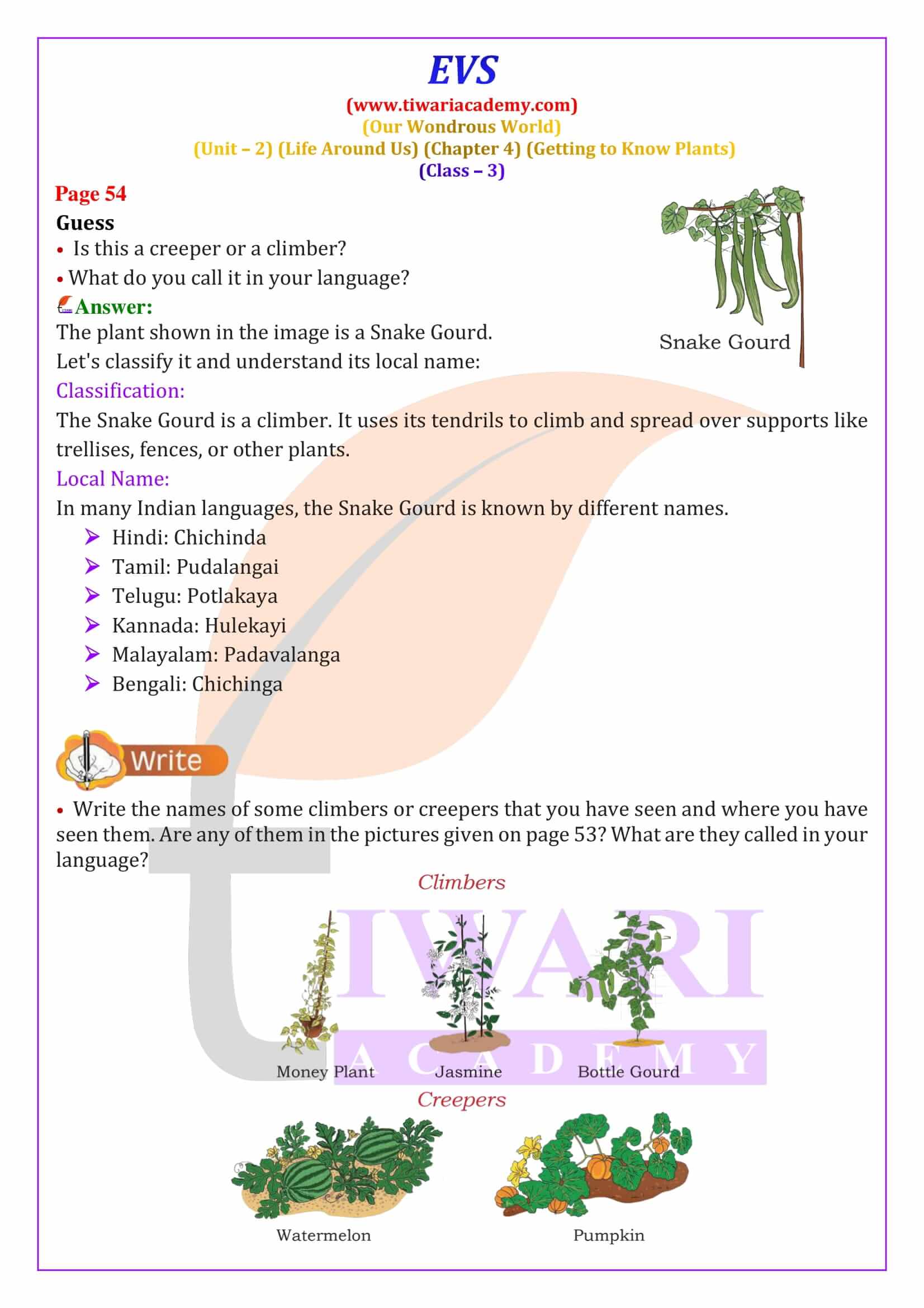 NCERT Solutions for Class 3 EVS Chapter 4 Answers