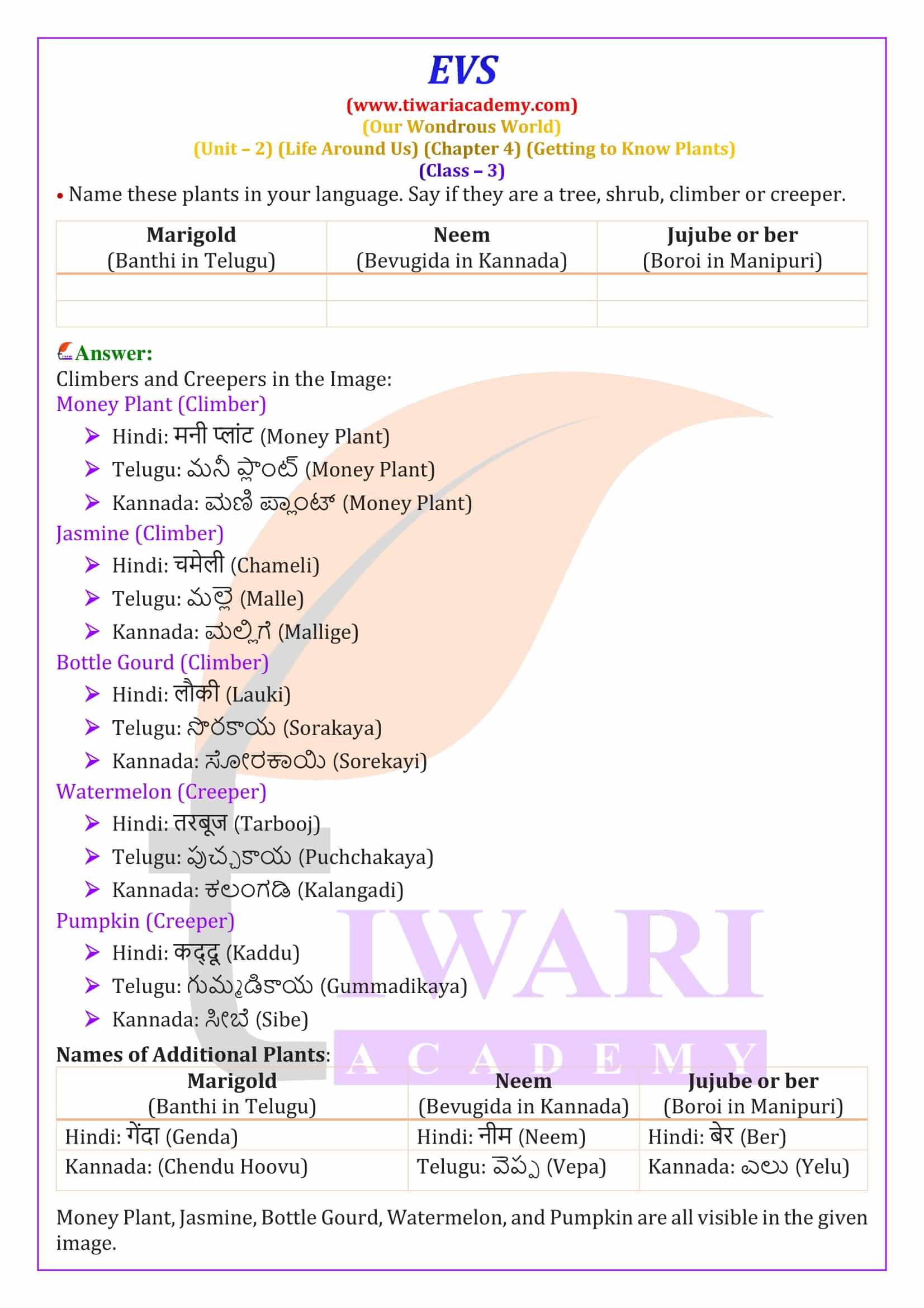 Class 3 EVS Chapter 4