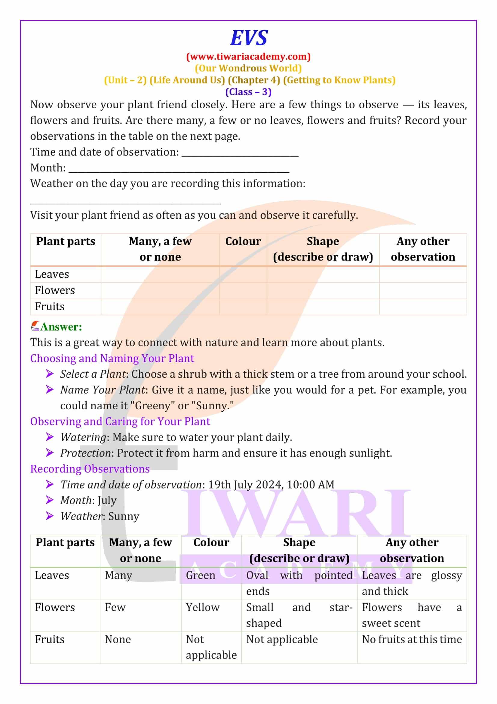 Class 3 EVS Chapter 4 NCERT Answers