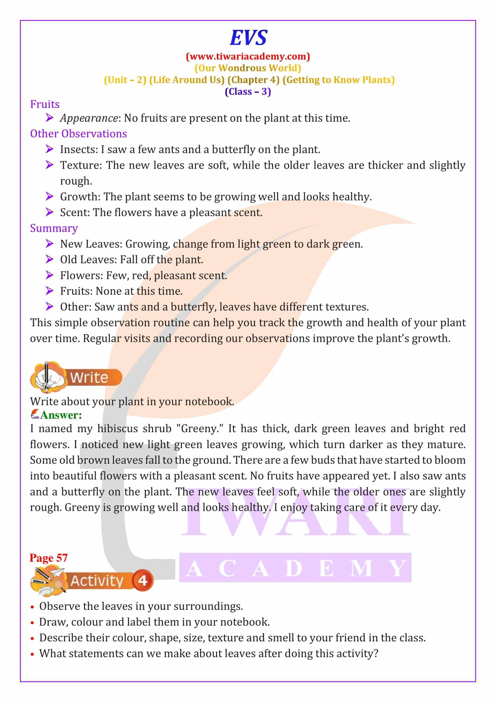 Class 3 EVS Chapter 4 Answers guide