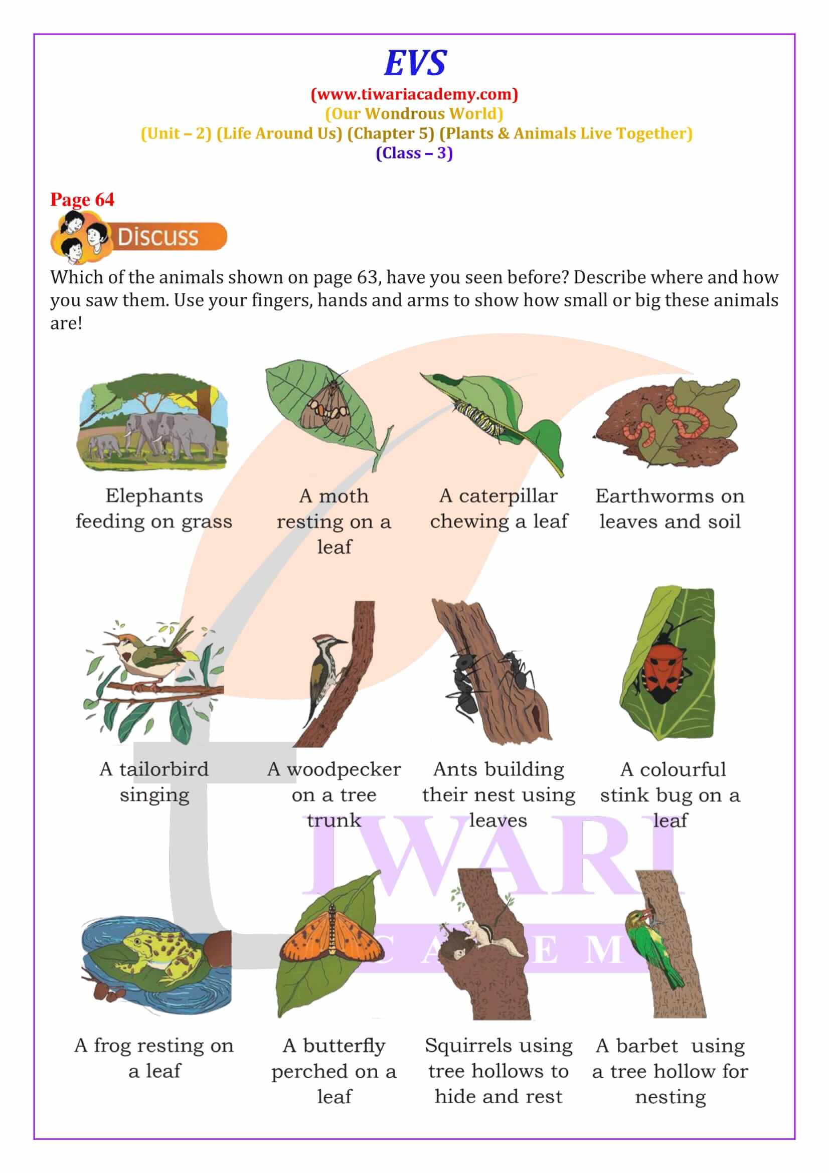 NCERT Solutions for Class 3 EVS Chapter 5