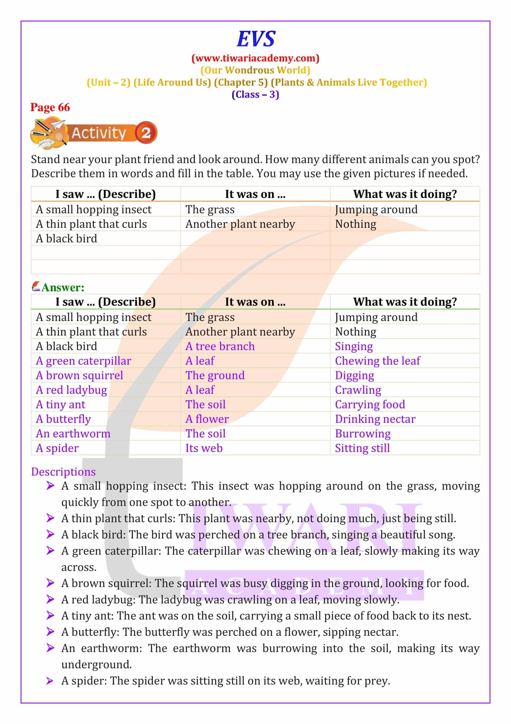 Class 3 EVS Chapter 5 NCERT Answers