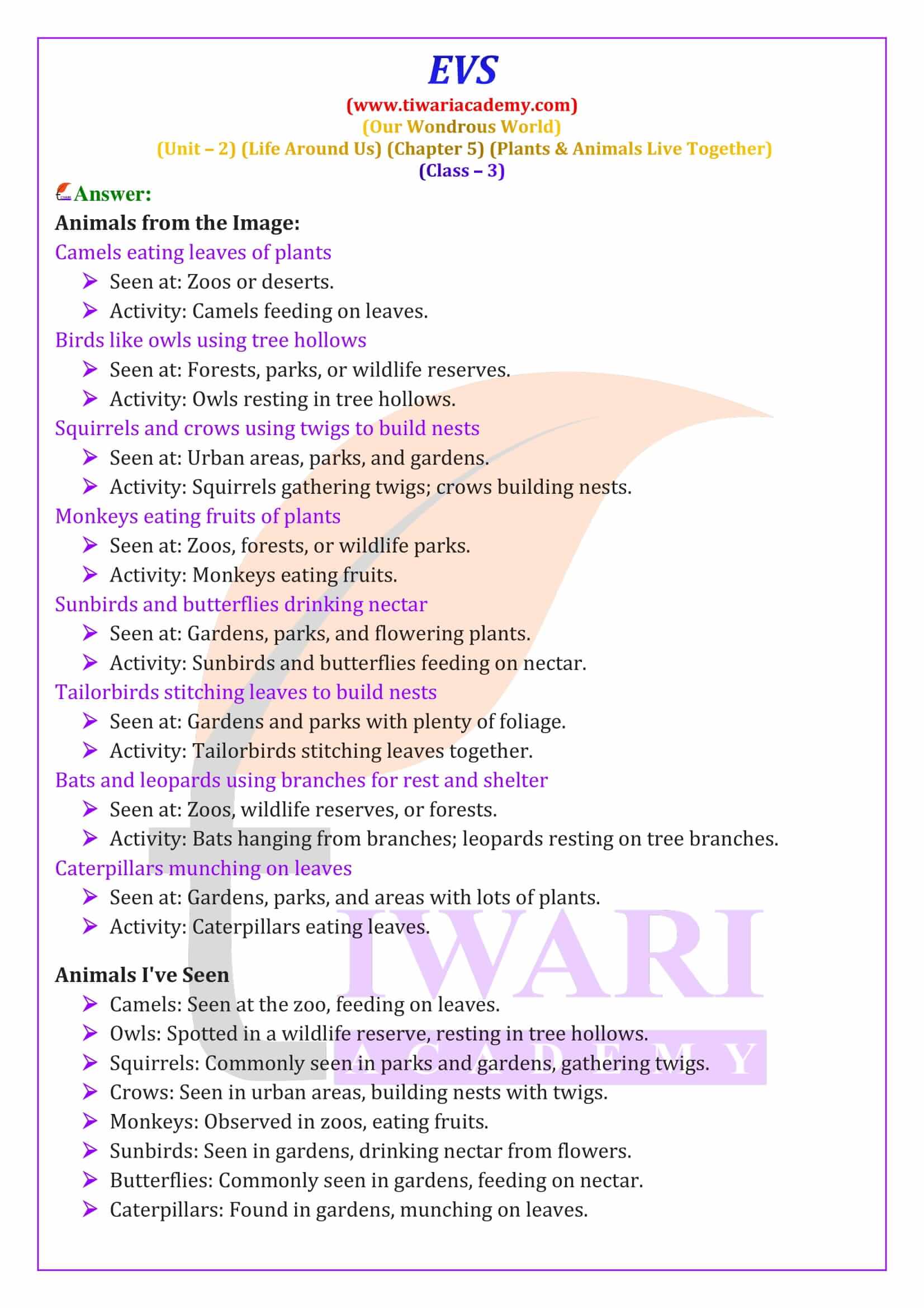 Class 3 EVS Chapter 5 Exercises