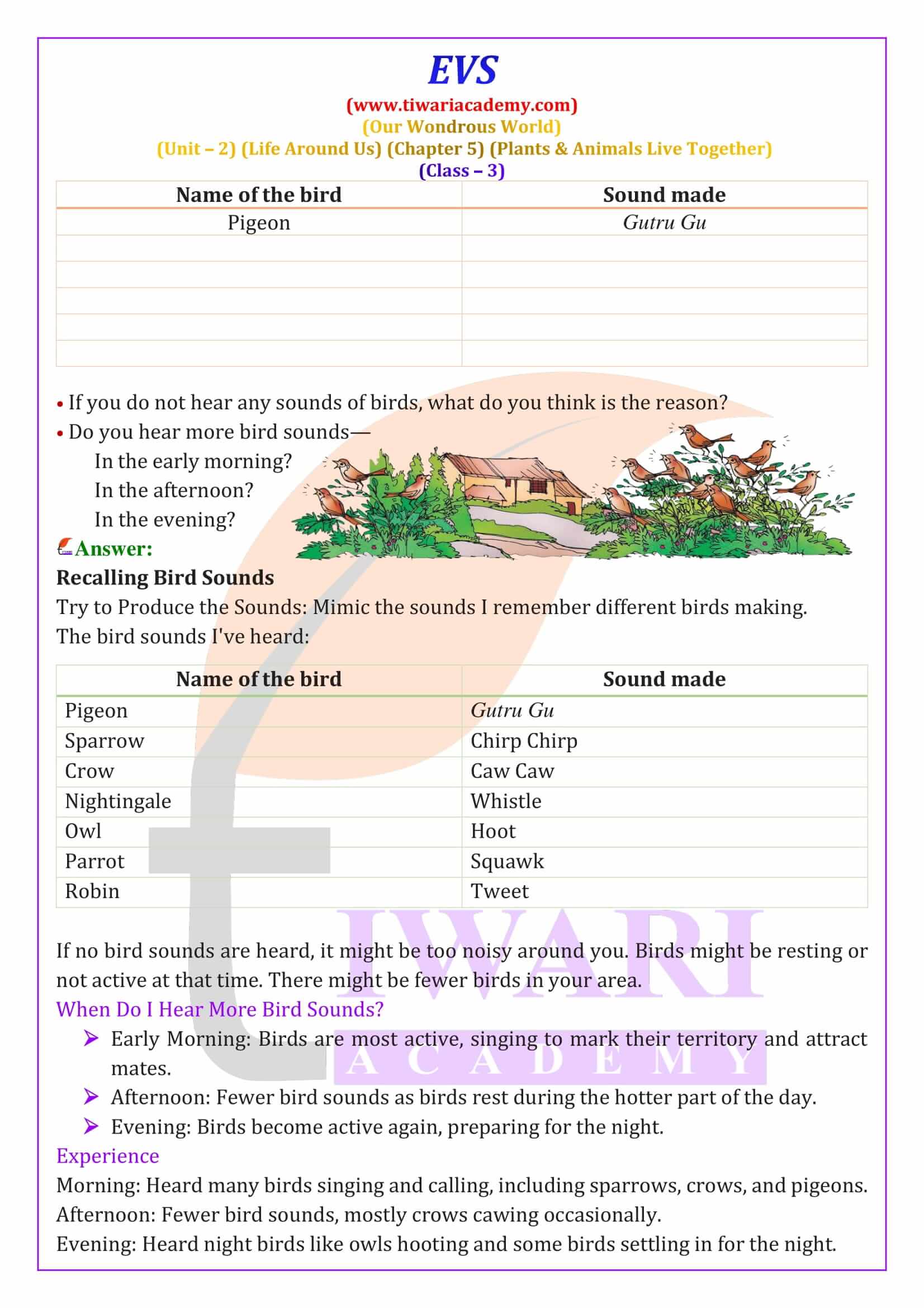 Class 3 EVS Chapter 5 in English Medium