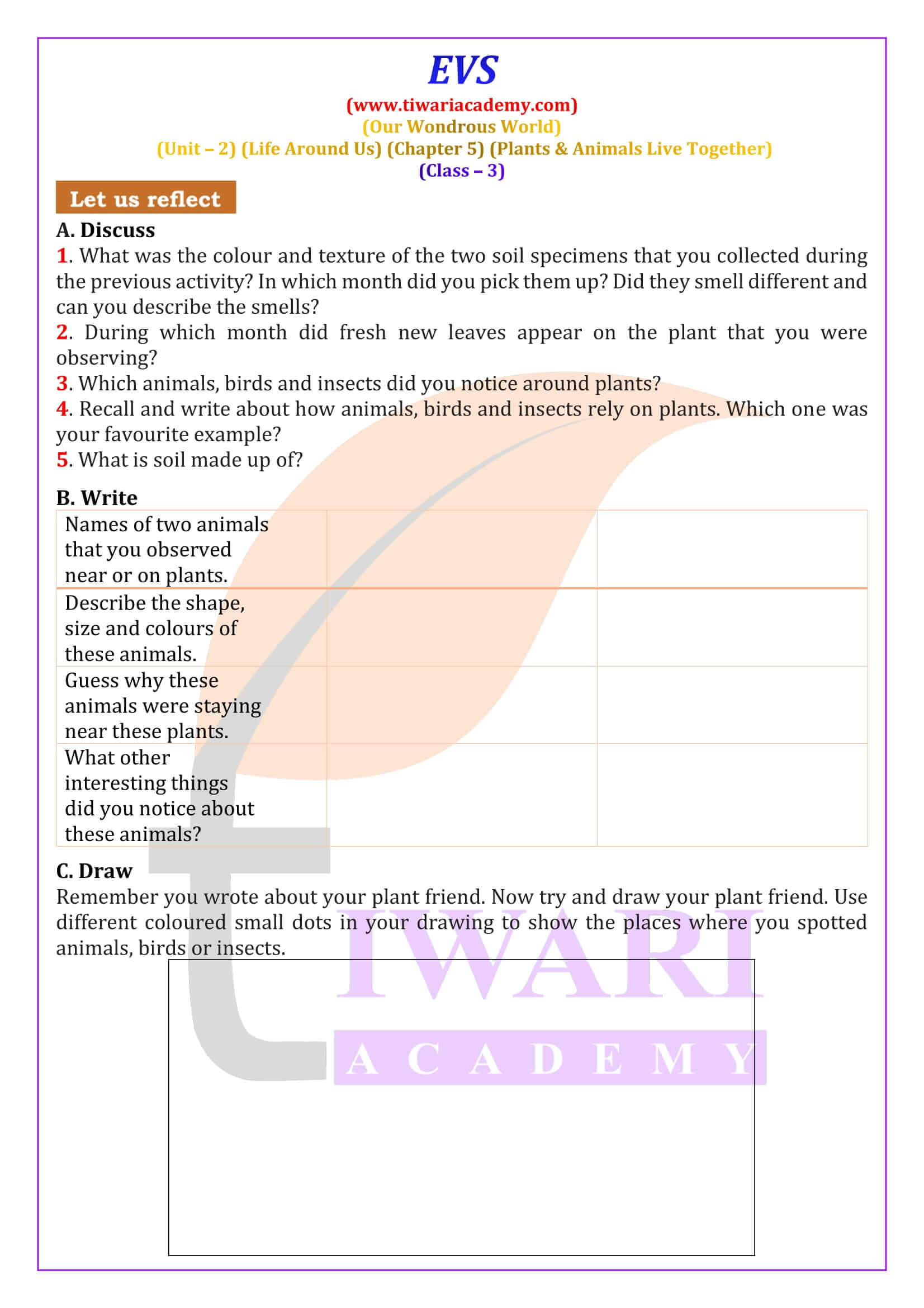 Class 3 EVS Chapter 5 Exercise Answers