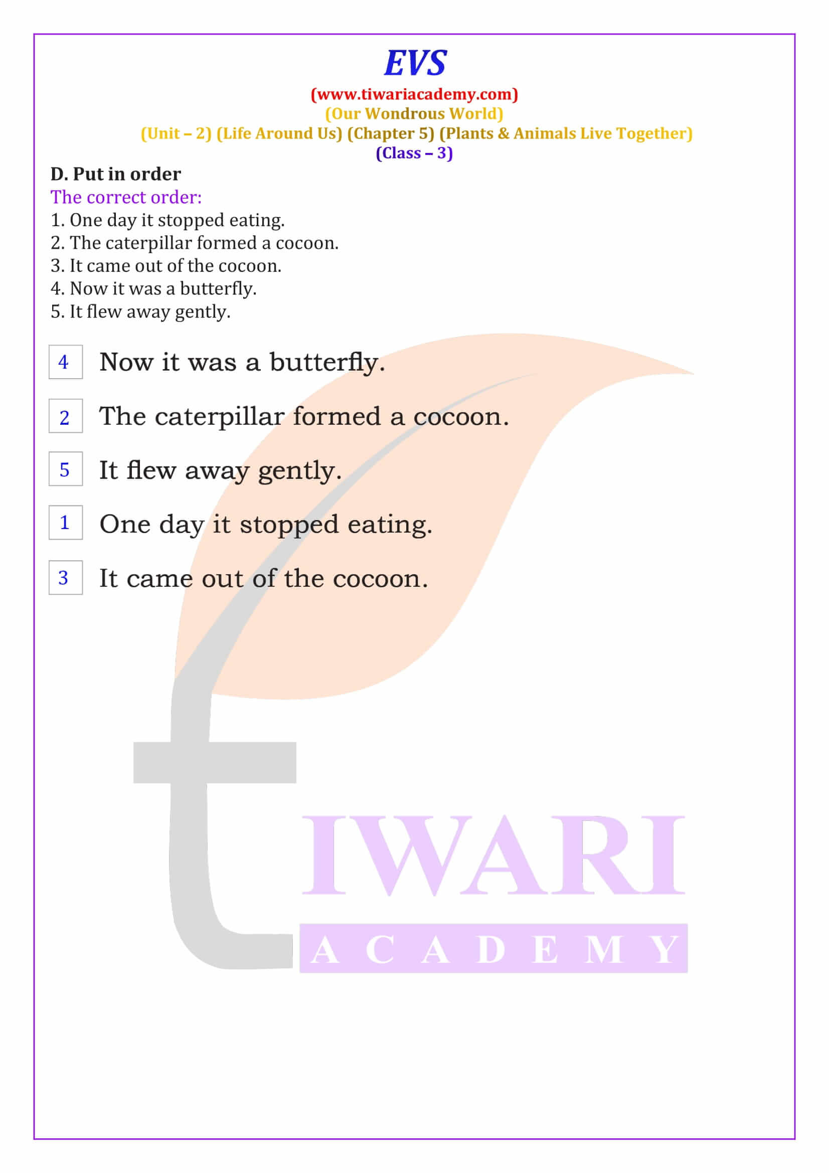 Class 3 EVS Chapter 5 NCERT Solution