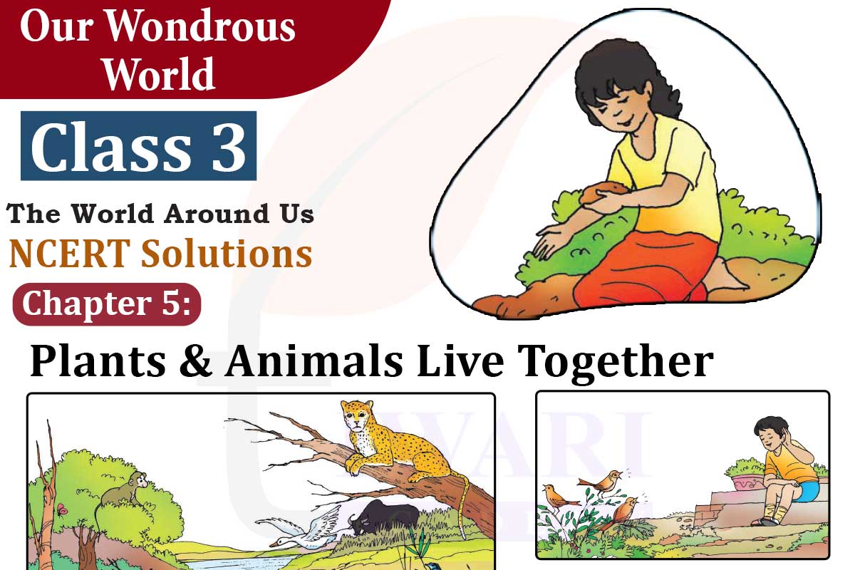 Class 3 EVS Chapter 5 Plants and Animals Live Togethe