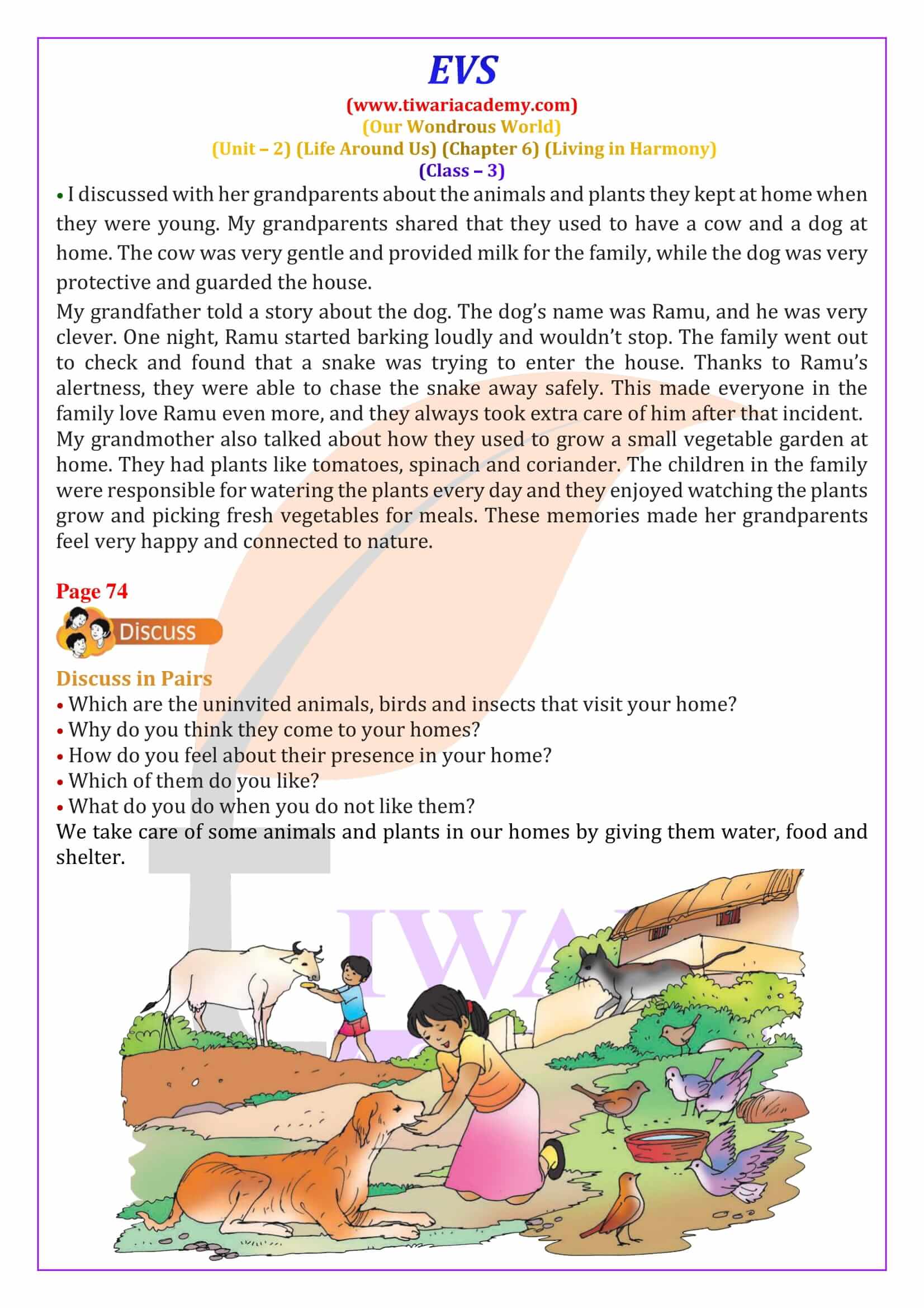 NCERT Solutions for Class 3 EVS Chapter 6 in English Medium