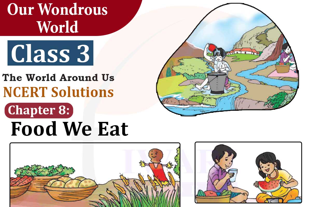 NCERT Solutions Class 3 EVS Chapter 8 Food We Eat