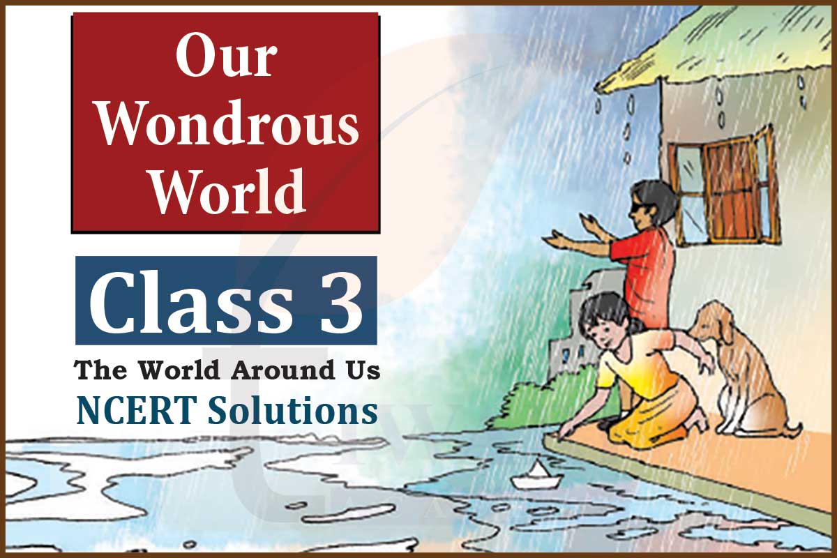 NCERT Solutions for Class 3 EVS - Our Wondrous World