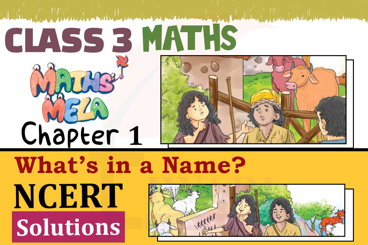 NCERT Solutions for Class 3 Maths Mela Chapter 1 What’s in a Name?