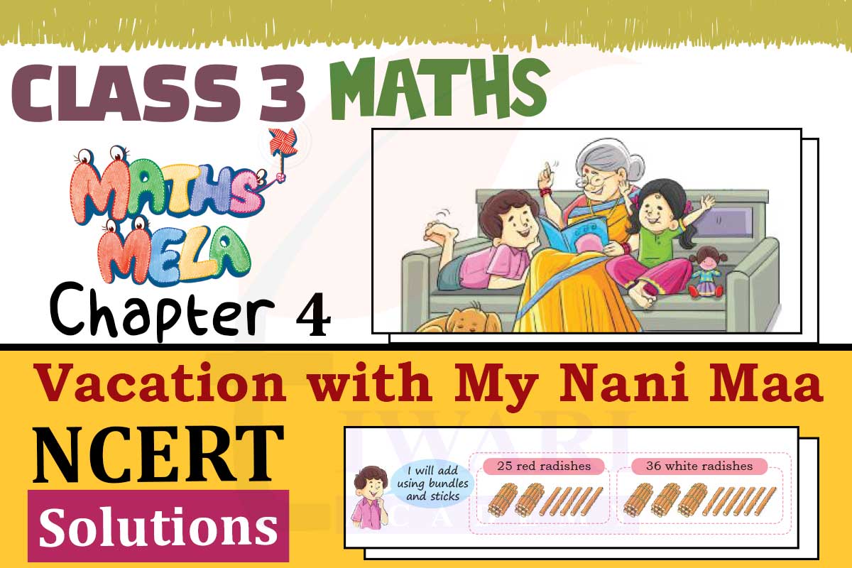 NCERT Solutions for Class 3 Maths Mela Chapter 4 Vacation with My Nani Maa