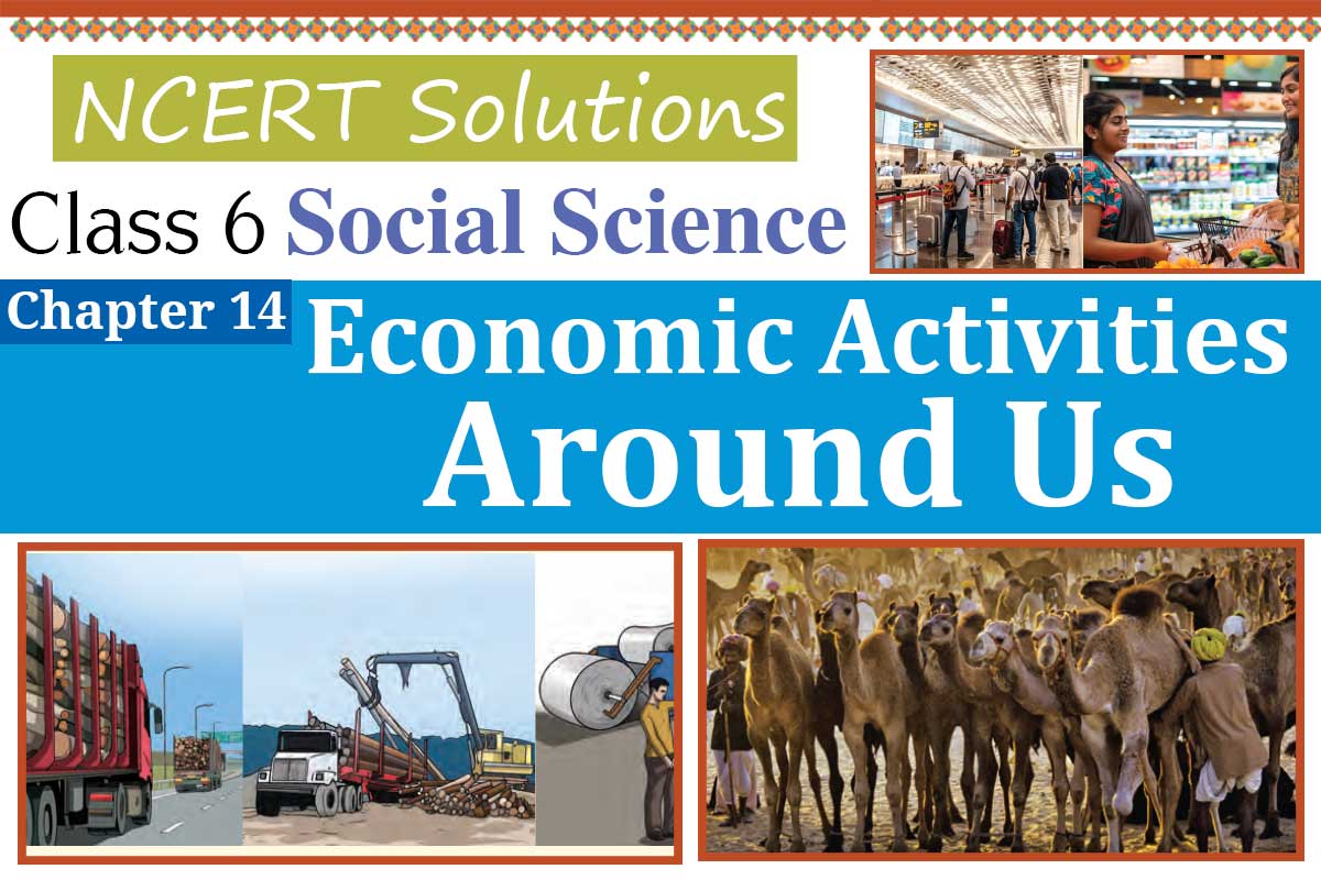 Class 6 Social Science Chapter 14 Economic Activities Around Us