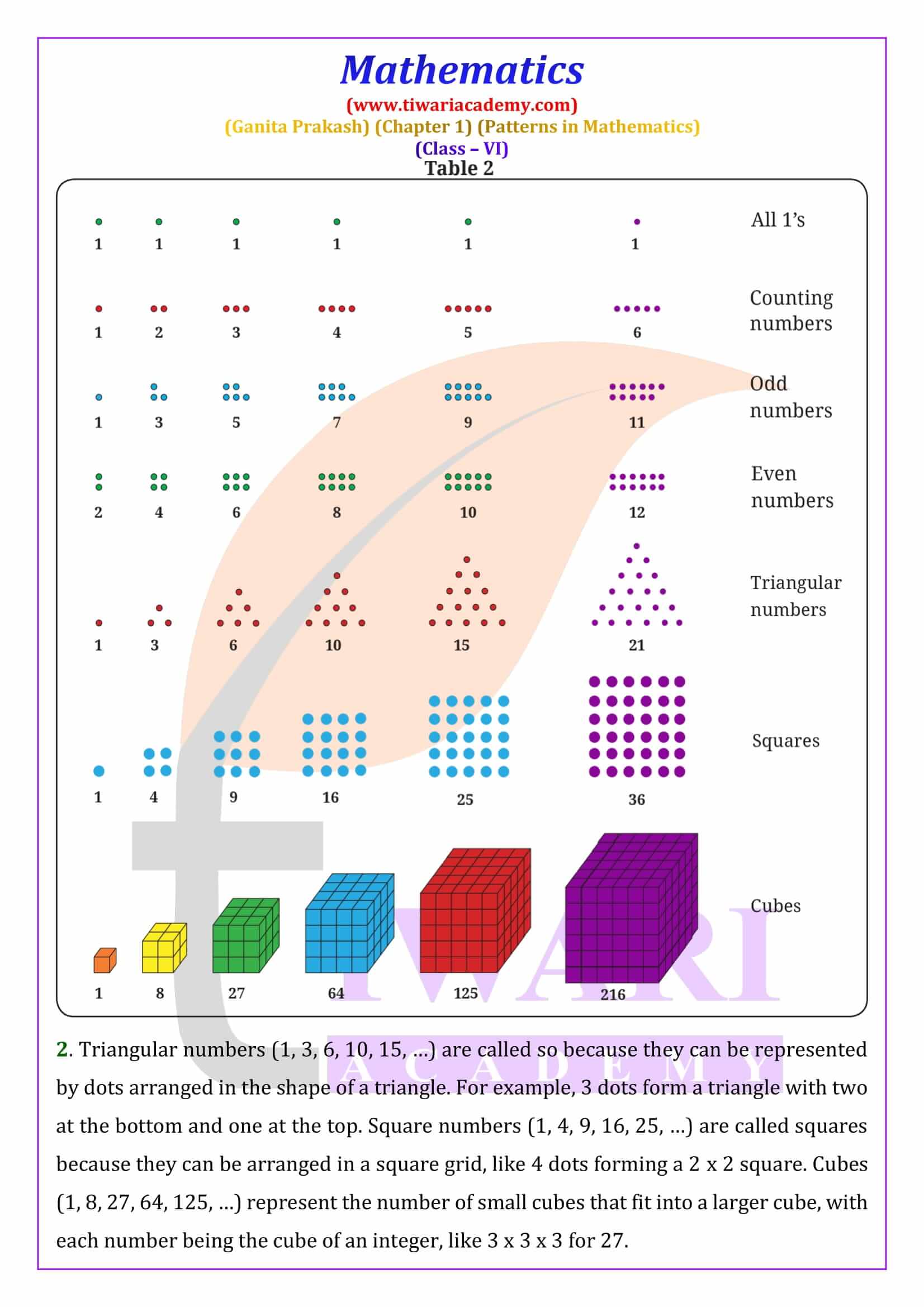 Class 6 Maths Ganita Prakash Chapter 1 Patterns