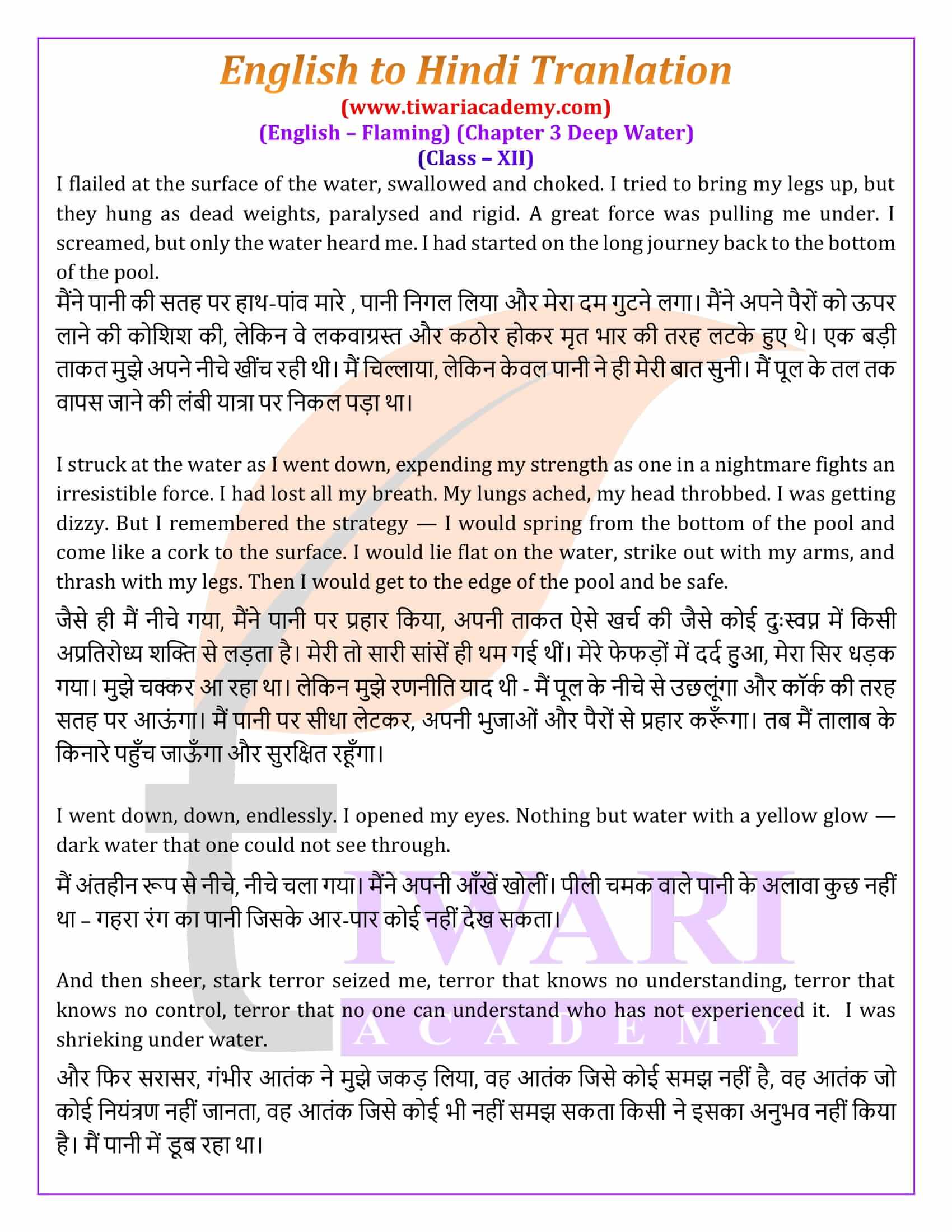 Class 12 English Flamingo Chapter 3 Hindi Medium