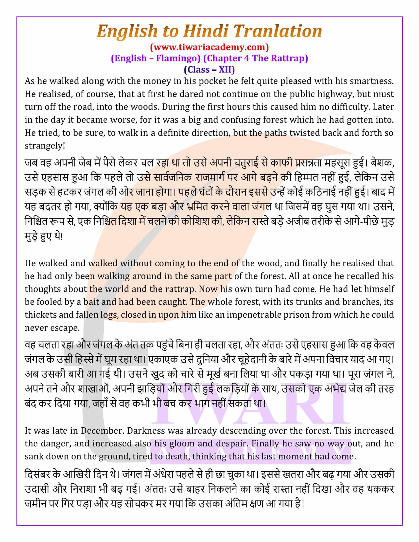 Class 12 English Flamingo Chapter 4 Hindi Medium