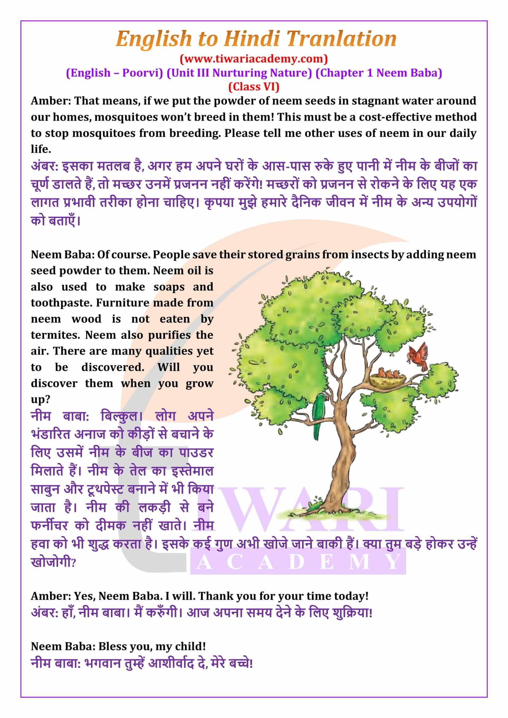 Class 6 English Poorvi Unit 3 Chapter 1 English to Hindi Translation