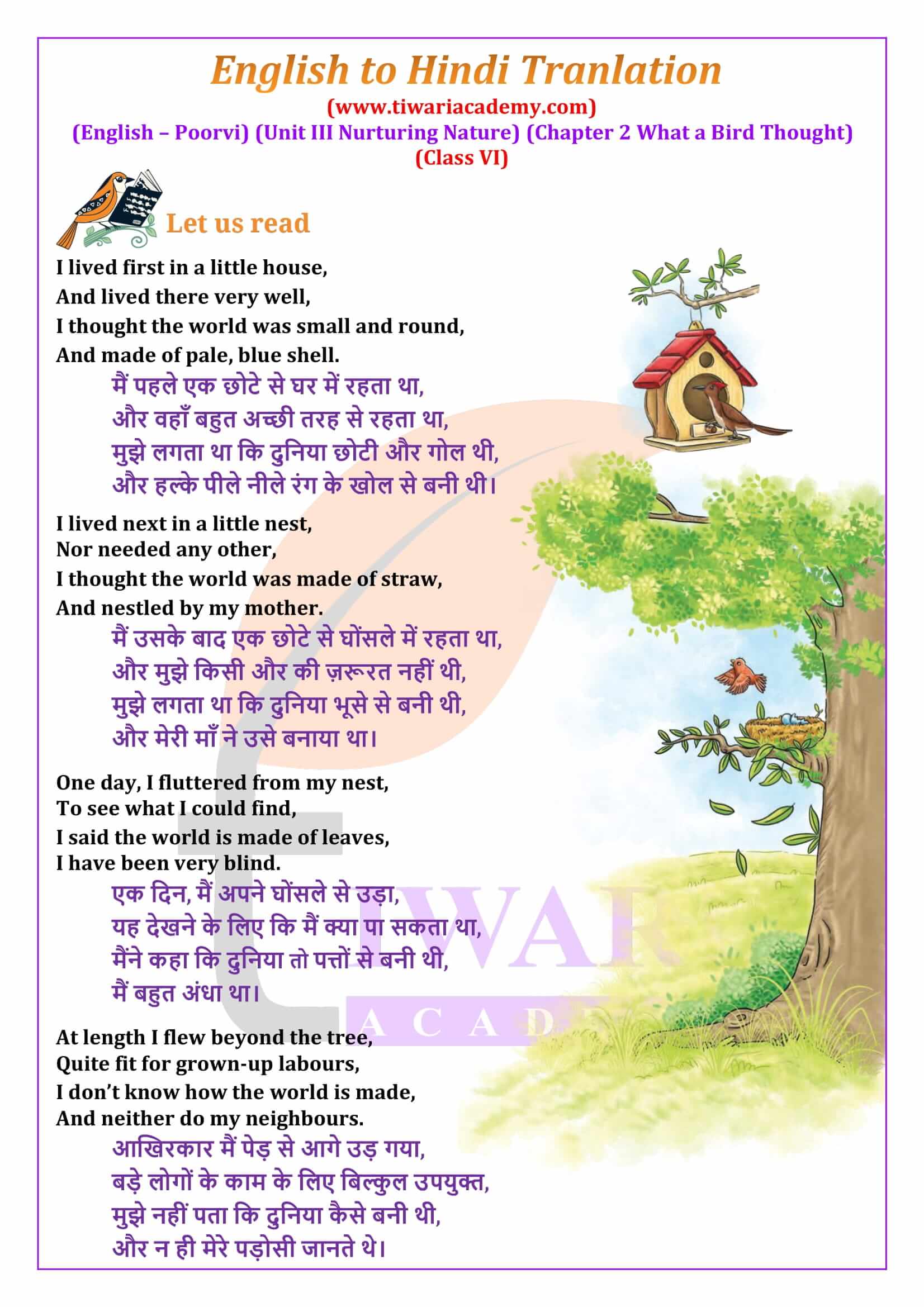 Class 6 English Poorvi Unit 3 Nurturing Nature Chapter 2 What a Bird Thought English to Hindi Translation