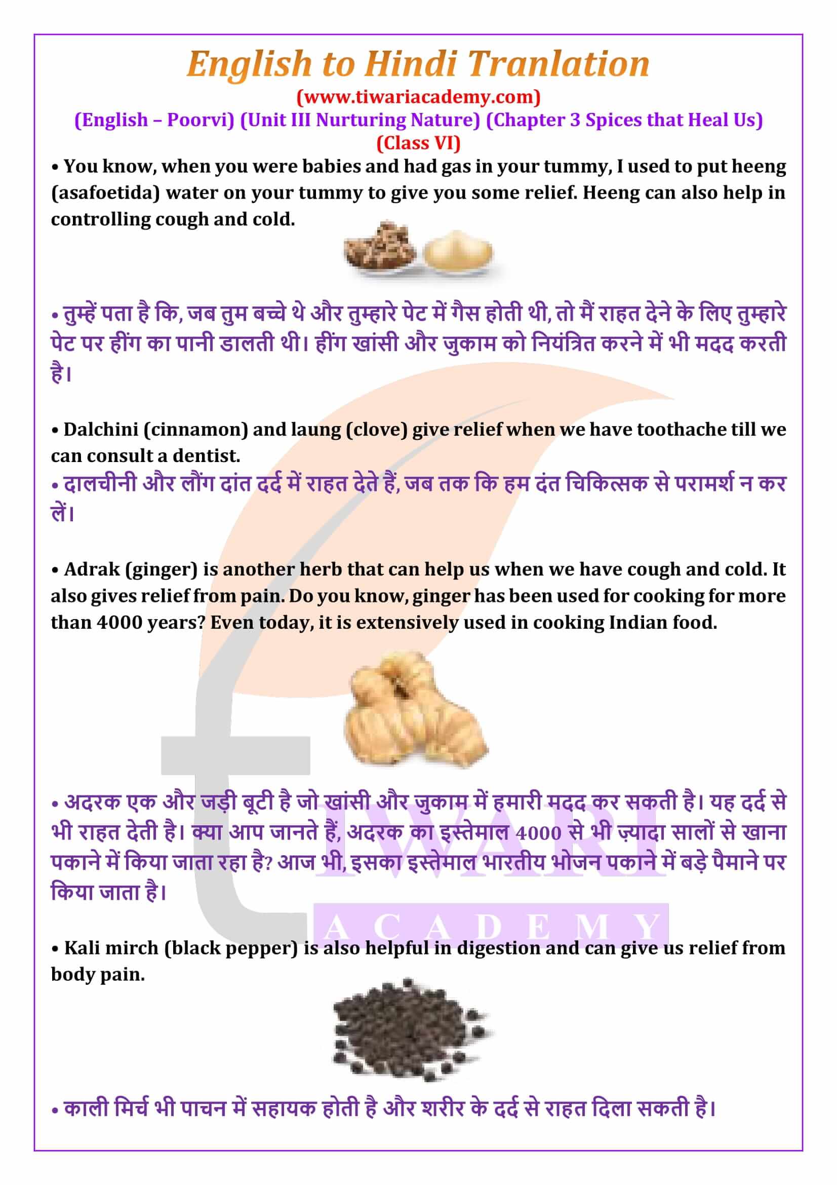 Class 6 English Poorvi Unit 3 Chapter 3 Spices that Heal Us English to Hindi Translation