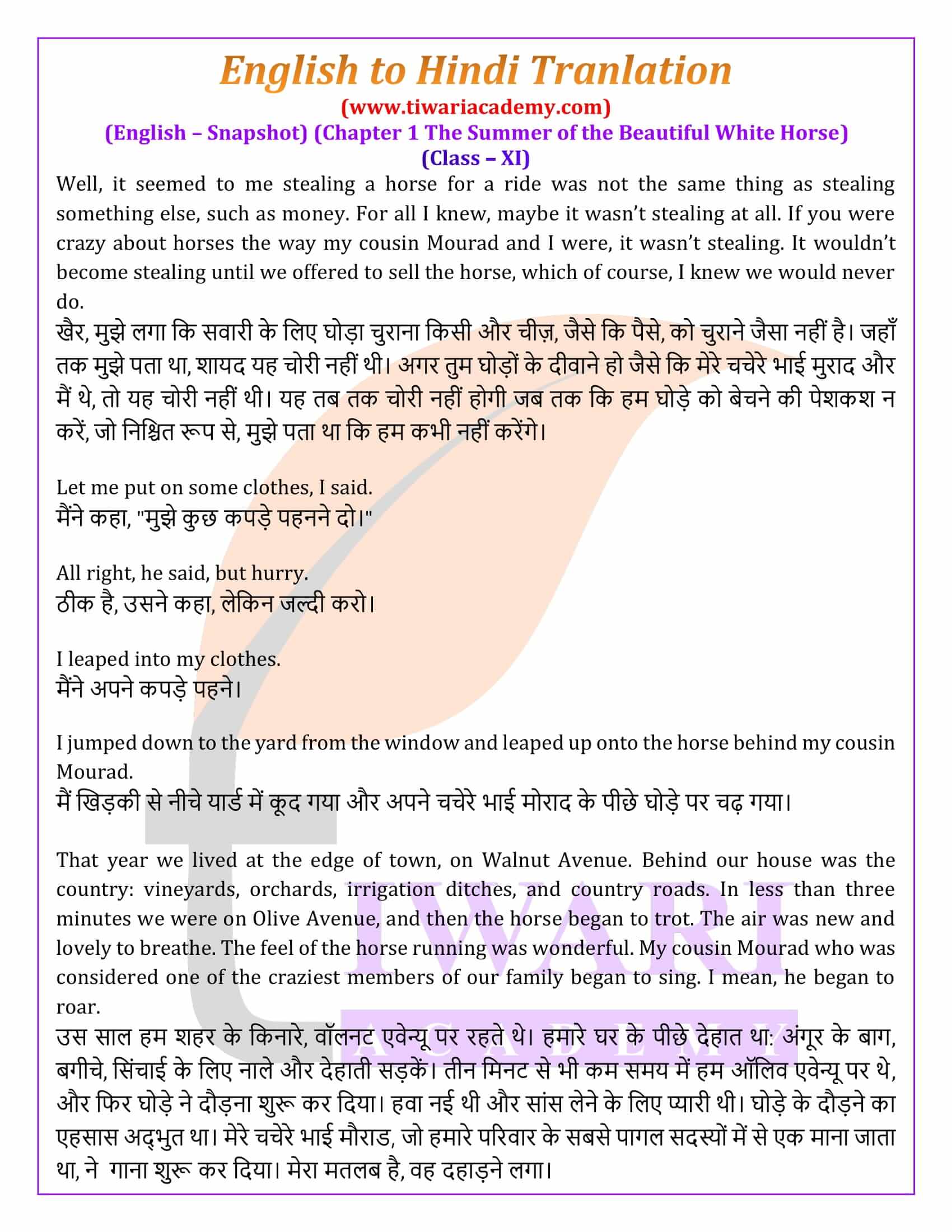 Class 11 English Snapshots Chapter 1 Hindi Medium