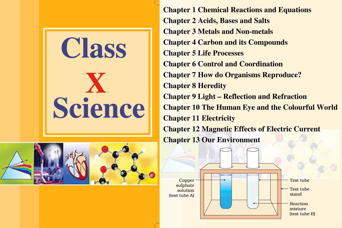 Class 10 Science