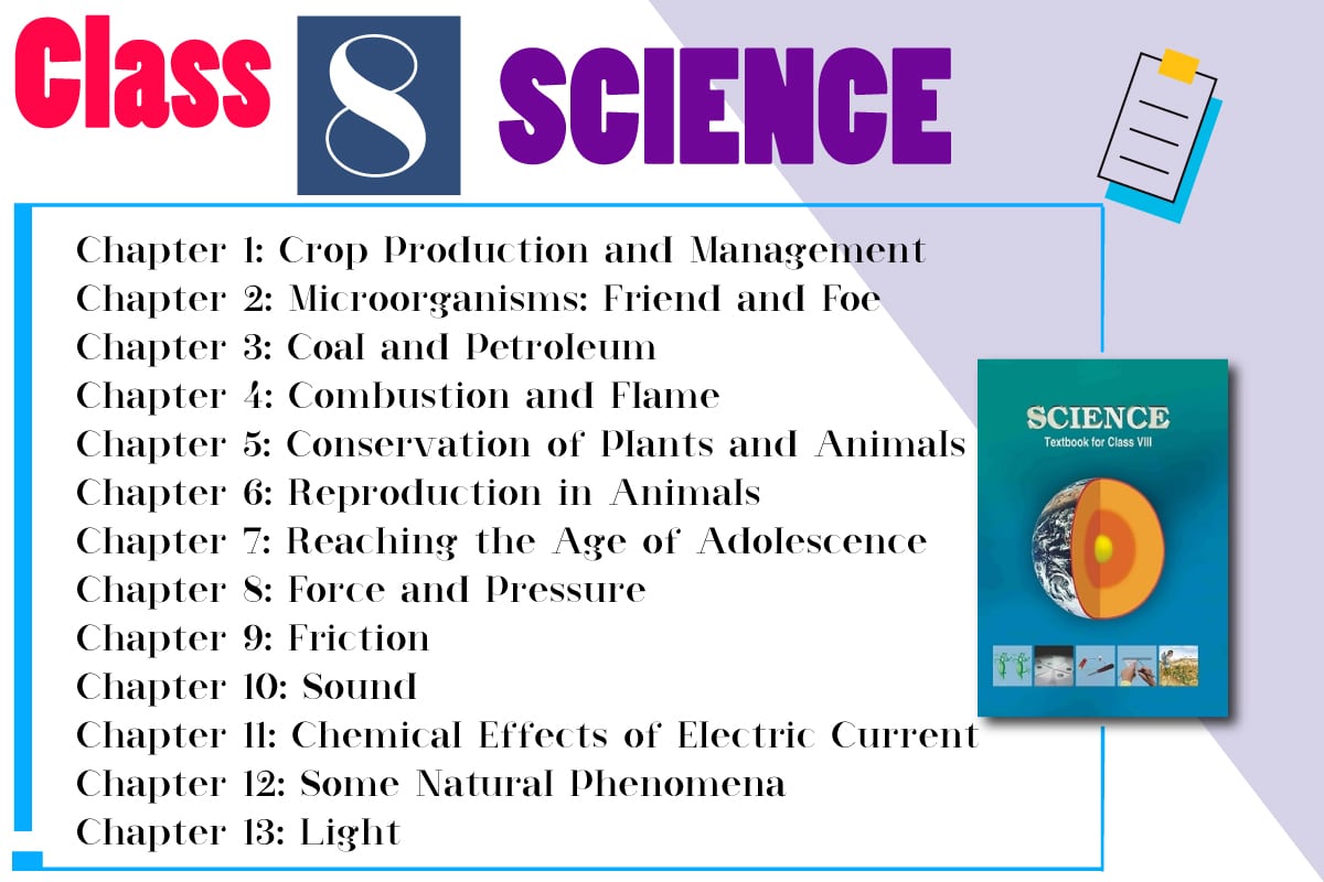 NCERT Textbook Solutions for Class 8 Science