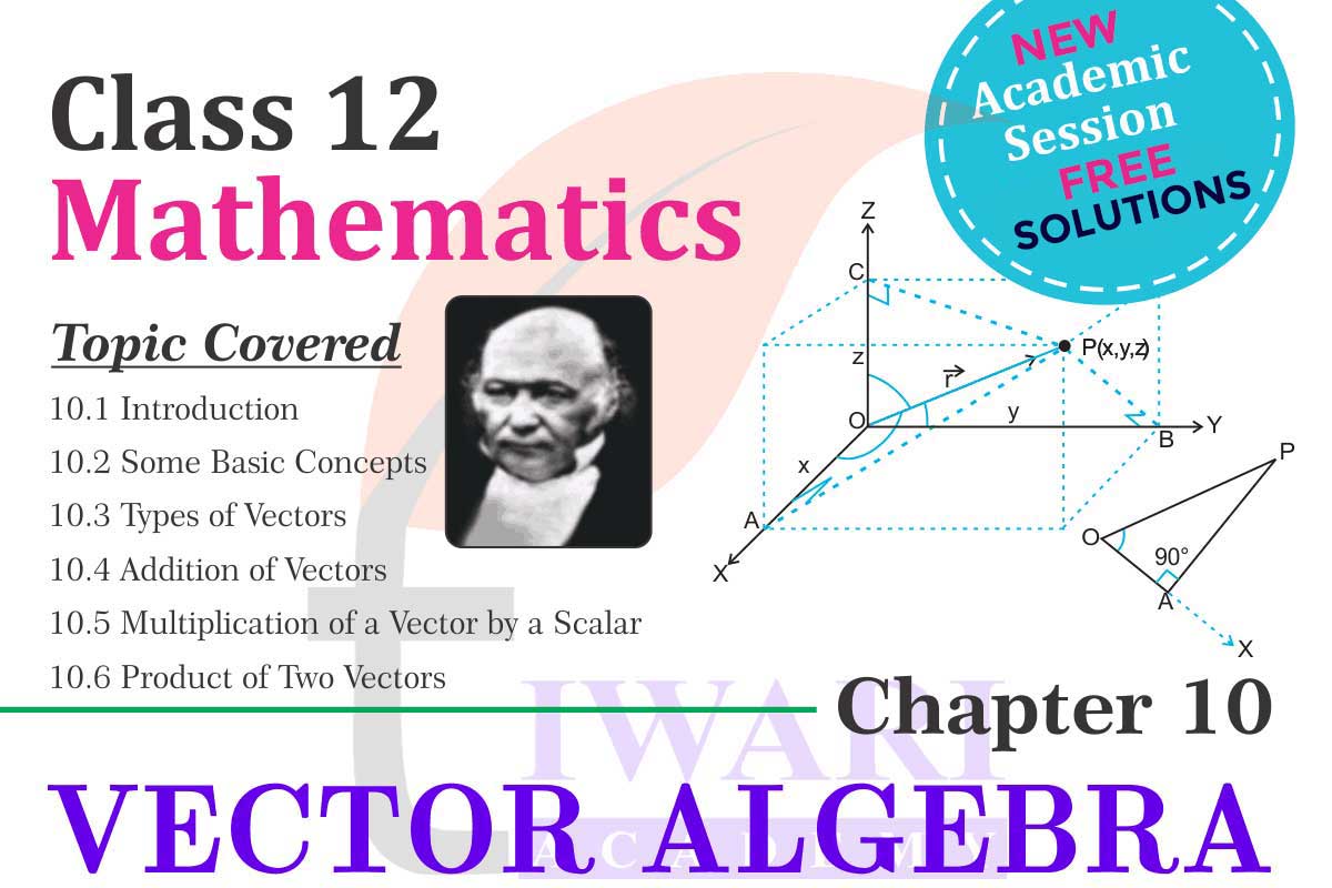 Class 12 Mathematics Chapter 10 Solutions