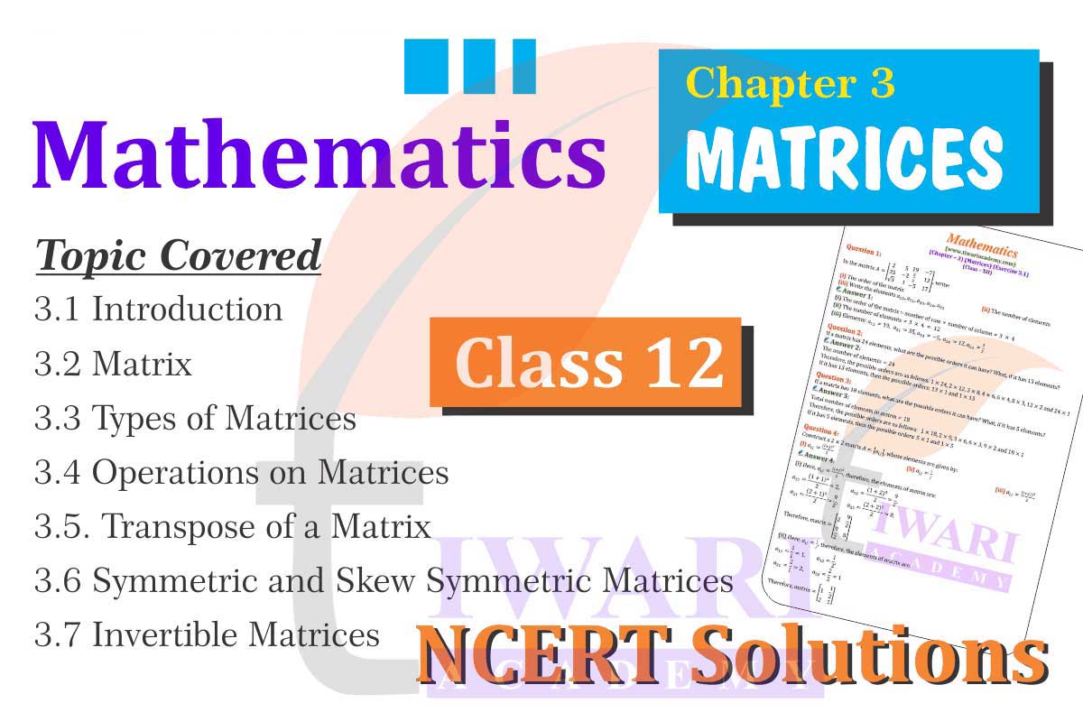 Class 12 Maths Chapter 3 Solutions