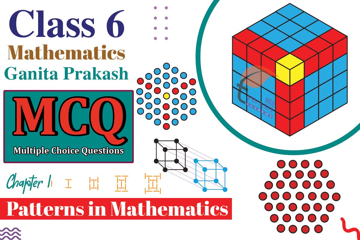 Class 6 Mathematics Ganita Prakash Chapter 1 MCQ